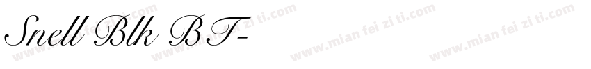 Snell Blk BT字体转换
